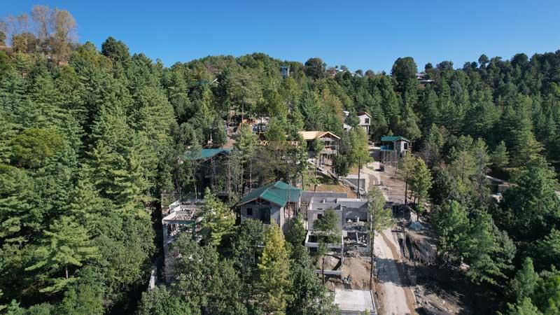 Phase 3 Changla Gali Blue Pine