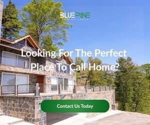 Looking for the perfect place to call home