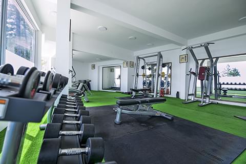 Blue Pine Mountain Homes Gym