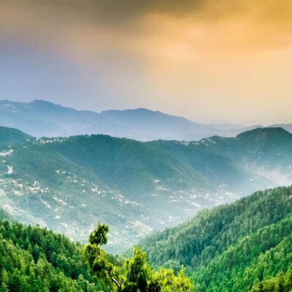 Murree-1-800x960